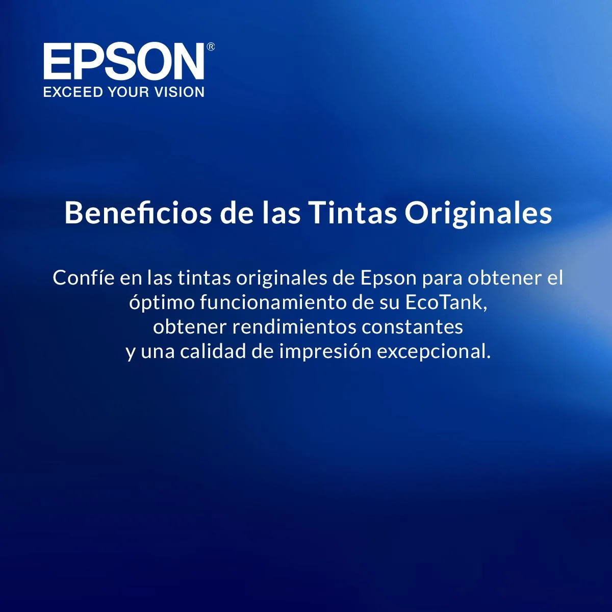 Botella de Tinta Epson T504120-AL Negro
